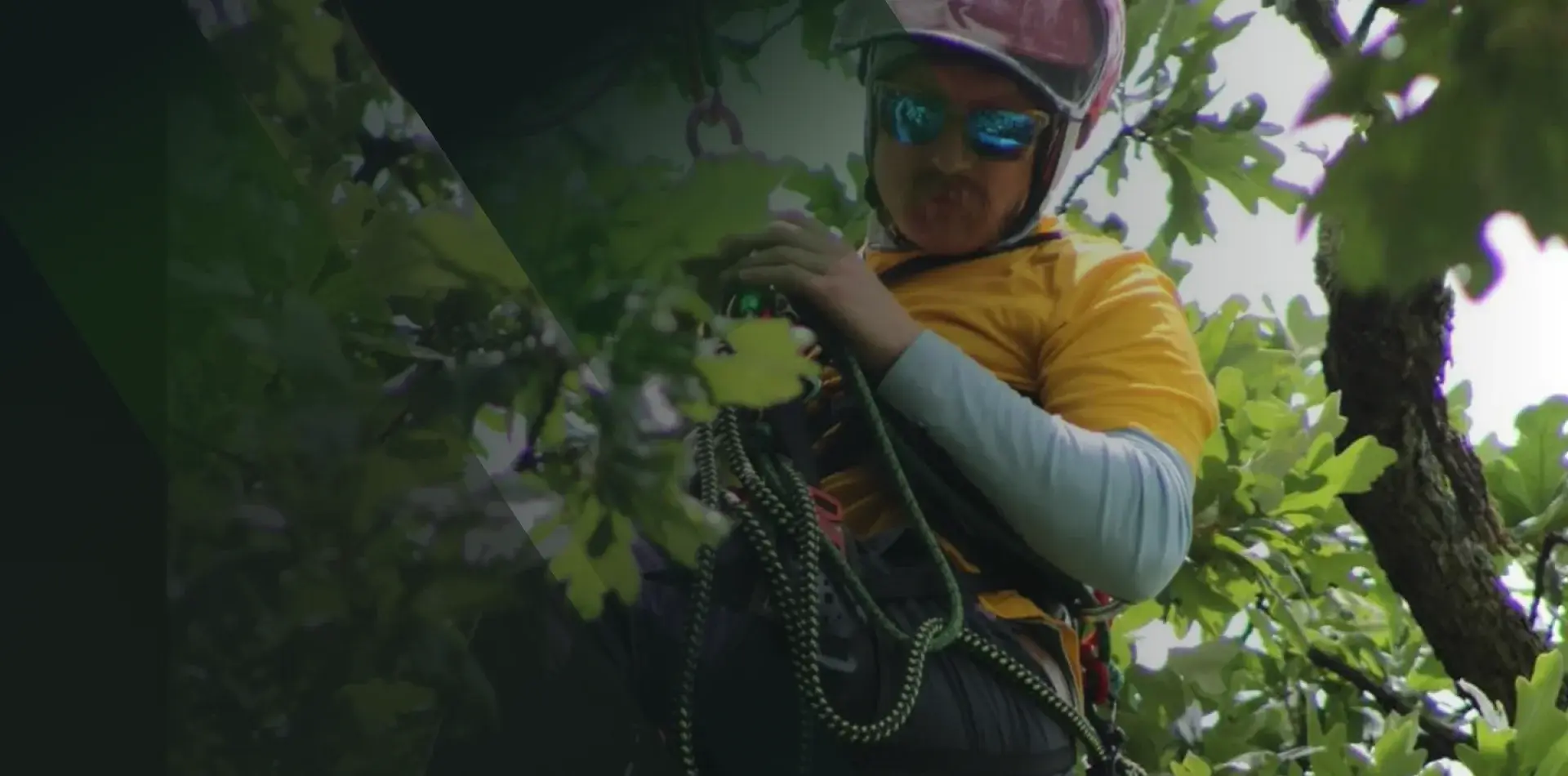 Lot and land clearing in Fort Smith, AR