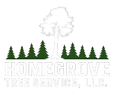Home Grove Tree Service